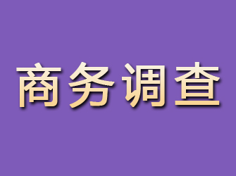 龙泉商务调查